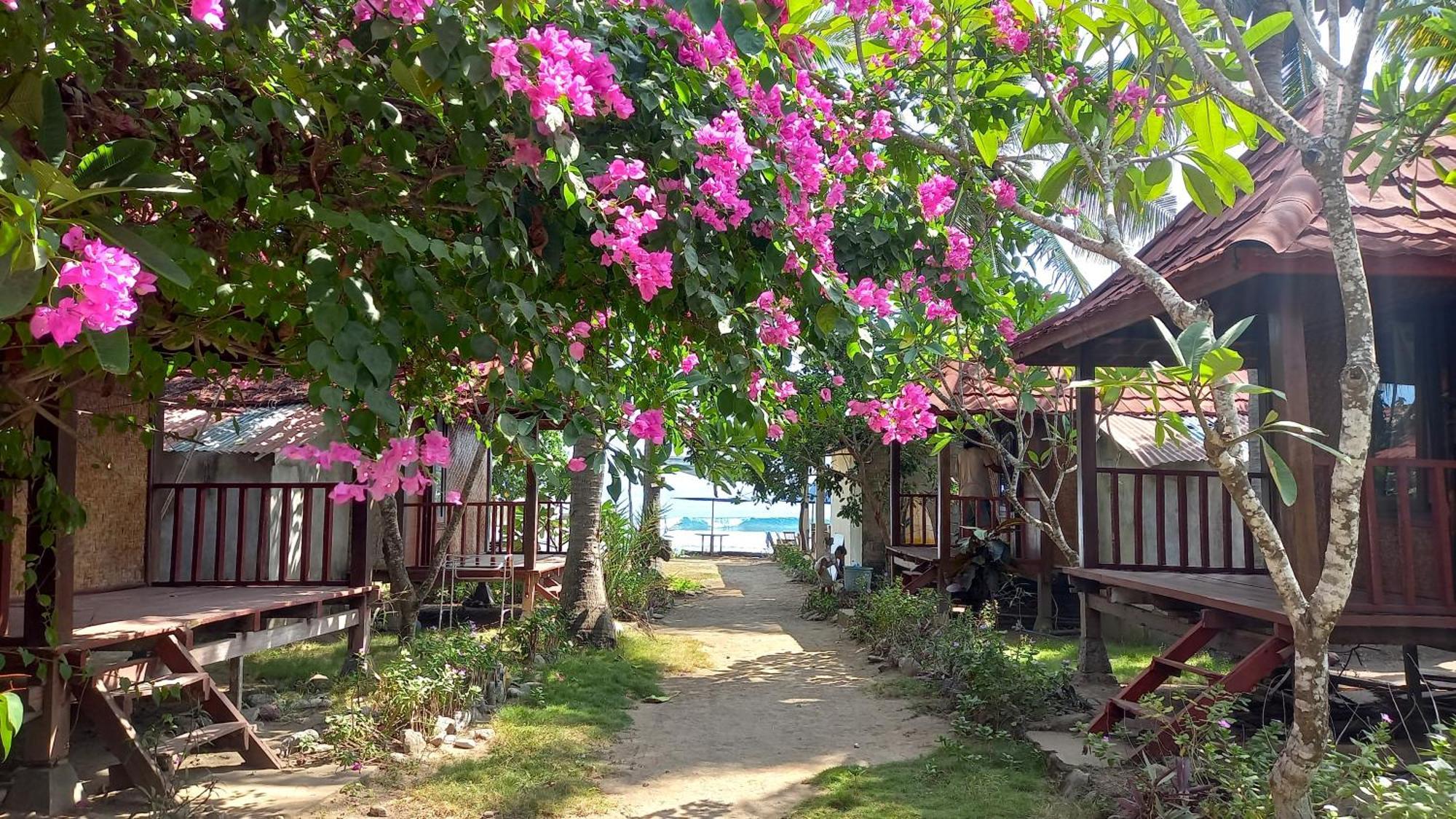 Dessert Point Lodge